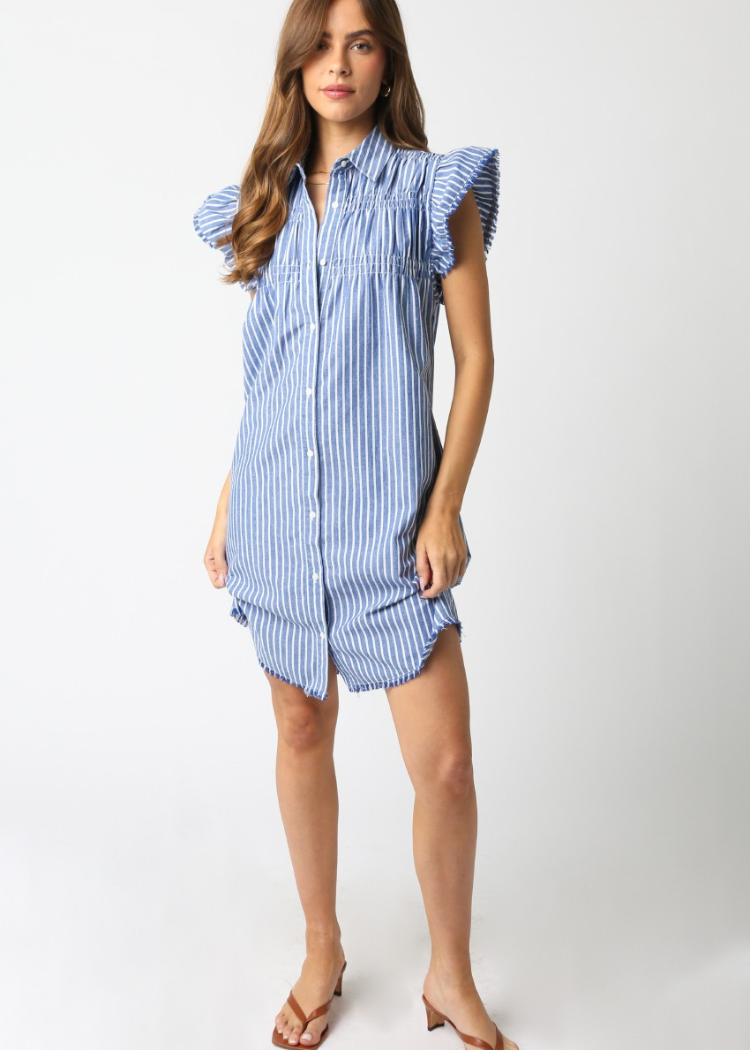 Claire Striped Dress- Blue-Hand In Pocket