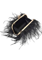 Harlow Feather Evening Bag: Black-Hand In Pocket