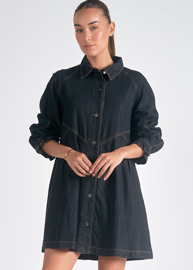 Elan Carey Button Down Dress- Black-Hand In Pocket