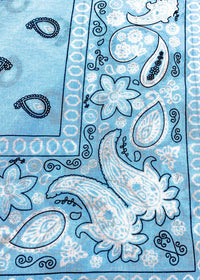 Bandana Scarf-Blue-Hand In Pocket